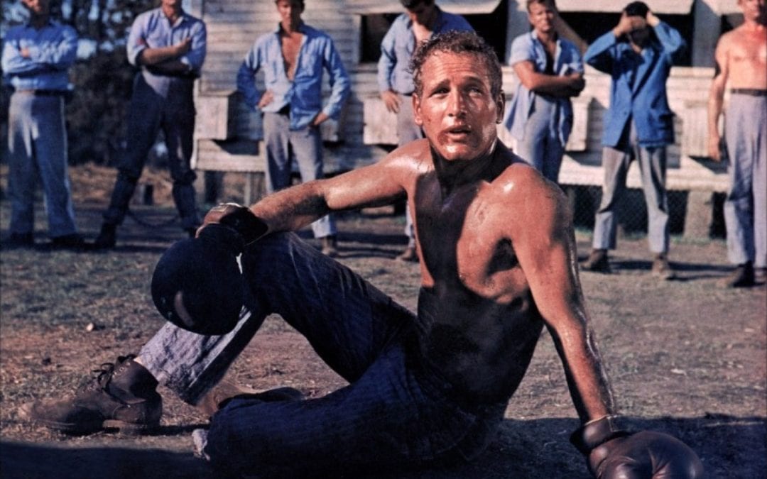 Icons of Restless Thinking: Paul Newman